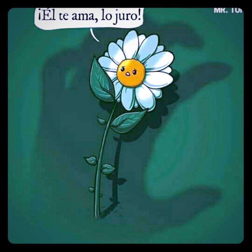 Meet your Posher, Shaparrita